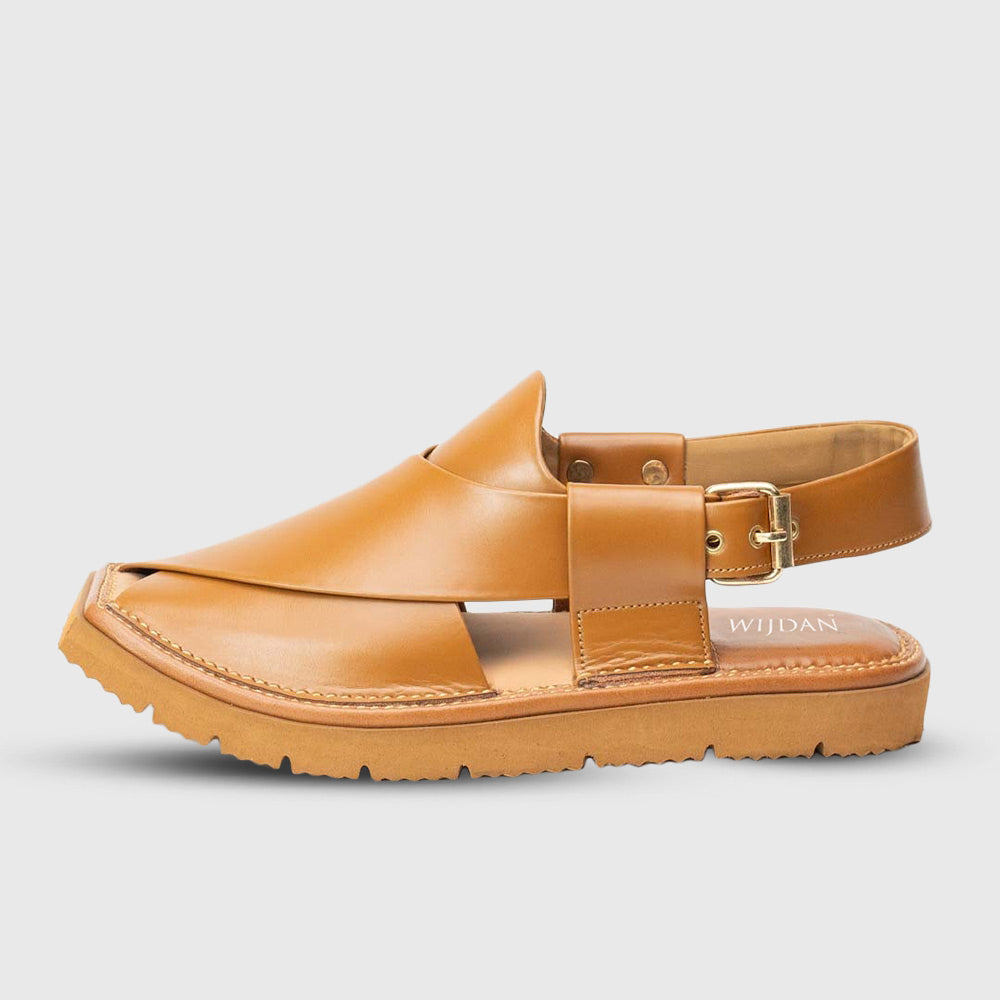 Kaptan Peshawari - Camel