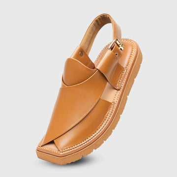 Kaptan Peshawari - Camel